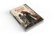 Книга &laquo;Красная сестра&raquo; &mdash; фото 3