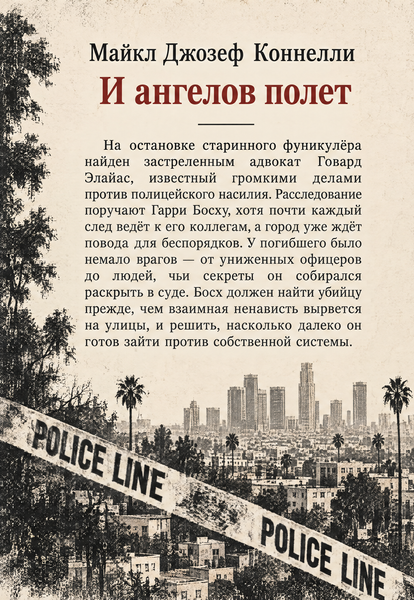 Книга &laquo;Політ ангелів&raquo; &mdash; обкладинка