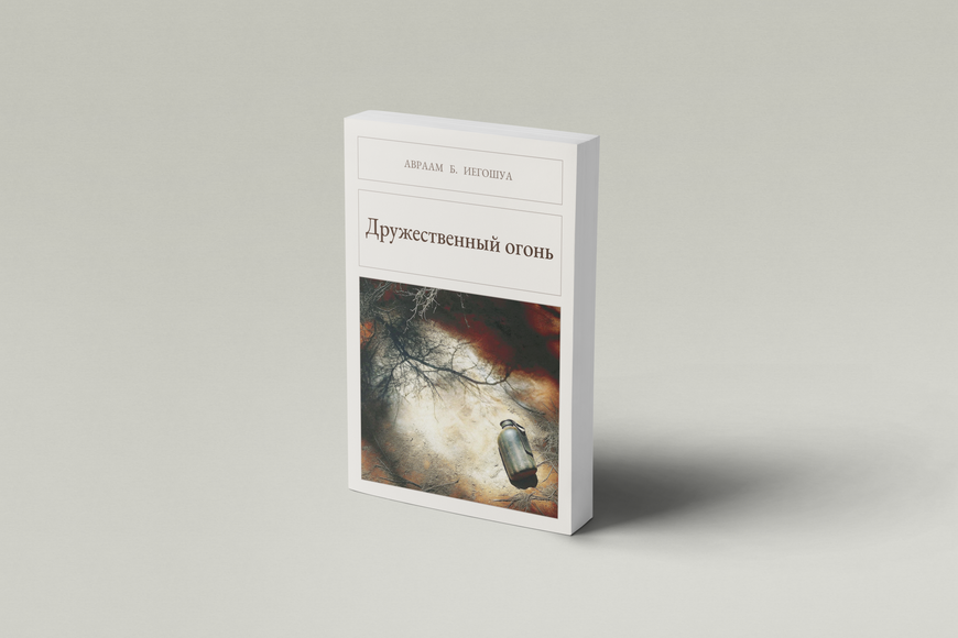 Книга &laquo;Дружній вогонь, М'яка обкладинка, російською&raquo; &mdash; обкладинка