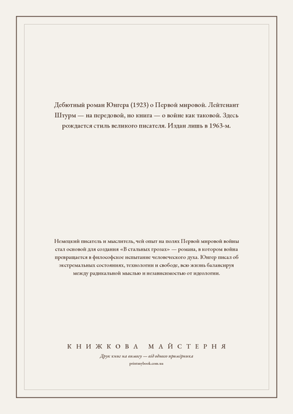 Книга &laquo;Штурм, М'яка обкладинка, російською&raquo; &mdash; обкладинка