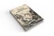 Книга &laquo;Хроники капитана Блада&raquo; &mdash; фото 3