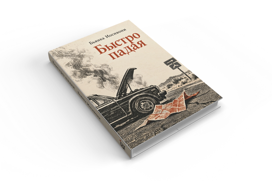 Книга &laquo;Падаючи стрімко&raquo; &mdash; обкладинка